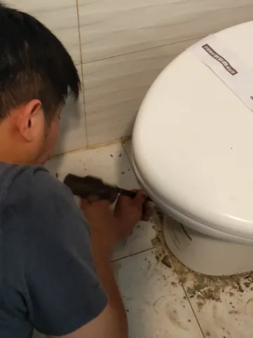 通馬桶・拆馬桶